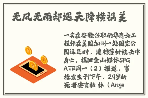 13000部幼儿视频的收藏量